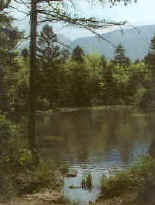 Naturschutzgebiet Schutt