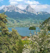Grosser und Kleiner Mythen, Insel Schwanau